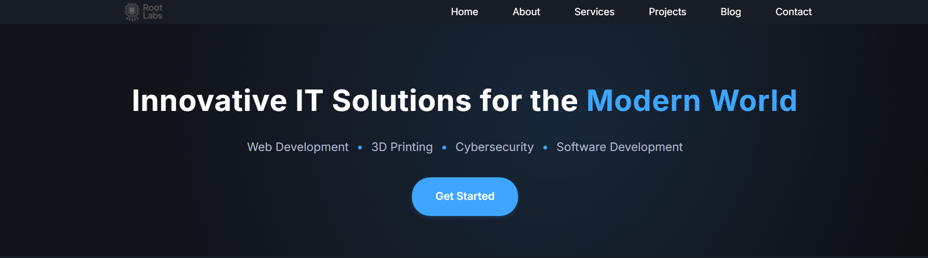 Root Labs Website Preview
